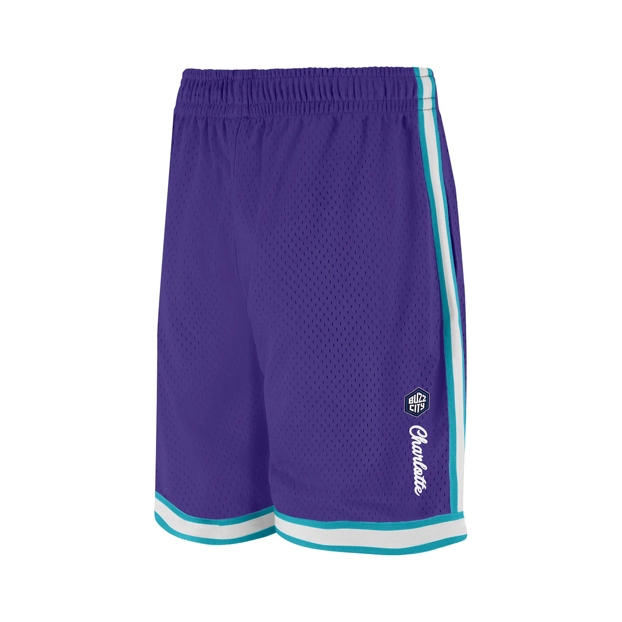 Ultra Game Men's NBA Official Supremely Soft Air Mesh Basketball Shorts - Classic Fit | Charlotte Hornets