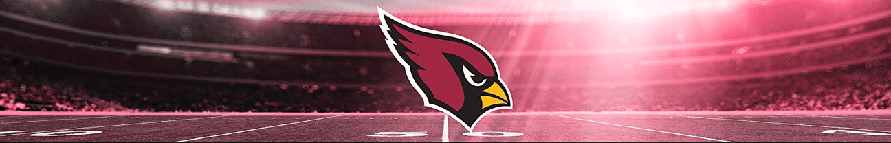 Shop By NFL Team - UltraGameShop