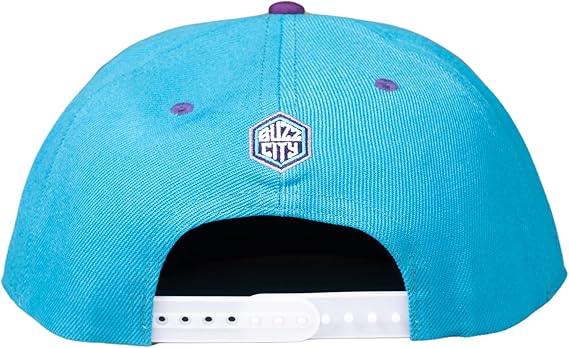 Ultra Game NBA Official Men’s Snap Back 3D Embroidered Team Logo Baseball Cap Hat - Unisex, Charlotte Hornets, Team Color, 1SIZE|Charlotte Hornets