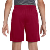 Ultra Game Boys NBA Official Soft Air Mesh Teamster Basketball Shorts - Classic Fit | Miami Heat