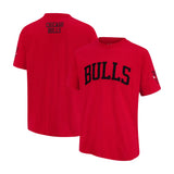Ultra Game Men's NBA Official Embroidered Letters Super Soft T-Shirt | Chicago Bulls