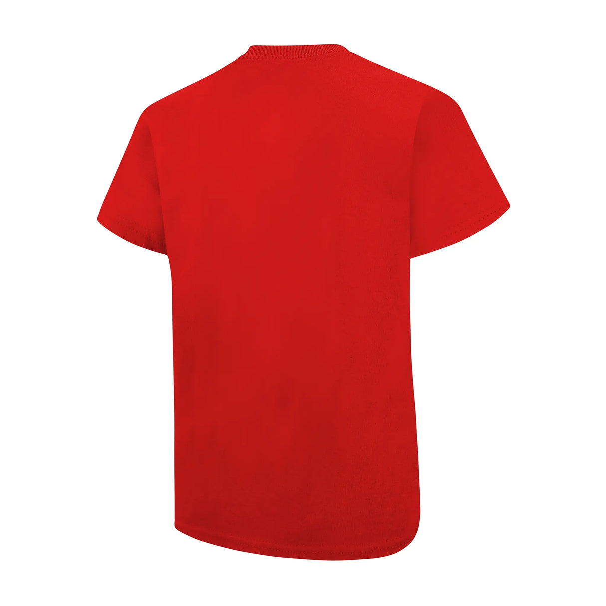 Ultra Game Youth NBA Official Arched Plexi Short Sleeve T-Shirt | Washington Wizards